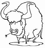 Bull Coloring Pages For Kids sketch template