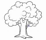 Easy Tree Coloring Pages sketch template