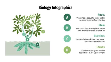 Biology Infographics | Google Slides & PowerPoint template