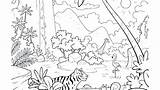 Simple Tropical Rainforest Coloring Page Pages sketch template