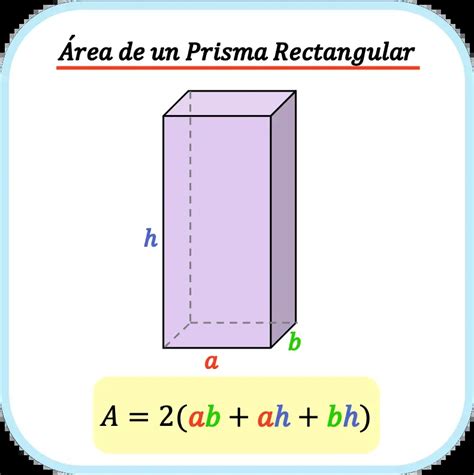 Paloma Sustancialmente adjetivo calculo da area do retangulo Hospitalidad Es divorcio