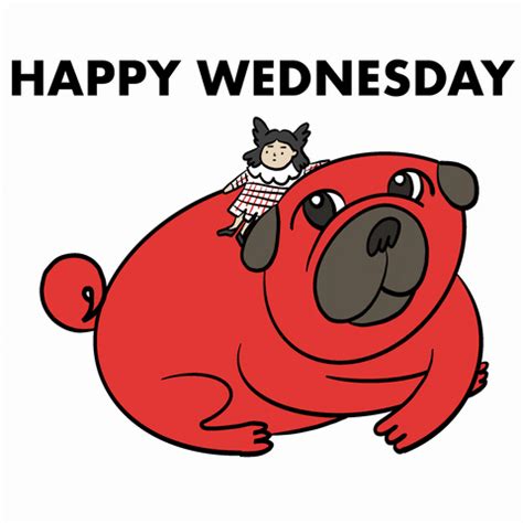 Happy Wednesday Giant Pug GIF | GIFDB.com