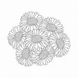 Gerber Daisy Coloring Pages sketch template
