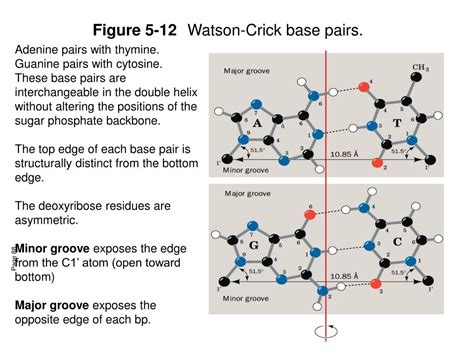 PPT - FCH 532 Lecture 10 PowerPoint Presentation, free download - ID:171273