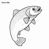 Premium Vector  Trout Fish Hand drawing coloring Page And Outline sketch template