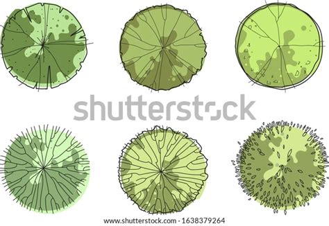 Architecture Sketch Green Trees Top View Stock Vector (Royalty Free) 1638379264 | Shutterstock ...