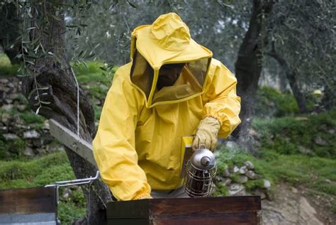 Bee Removal - Security Termite and Pest Control