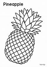 Pineapple Coloring Pages Free Printable PDFs  WakeTheKids sketch template