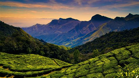 Kodaikanal (Kodai) travel | Tamil Nadu, India - Lonely Planet