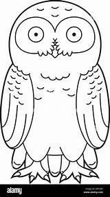 Easy coloring cartoon vector Illustration Of A Snowy Owl Stock Vector  sketch template