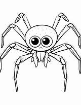 25 Spider Coloring Pages Free Sheets sketch template