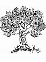 Tree coloring Pages For Adults sketch template