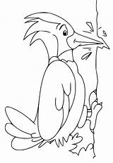 Animated Woodpecker Coloring Page  Free Printable Pages For Kids sketch template