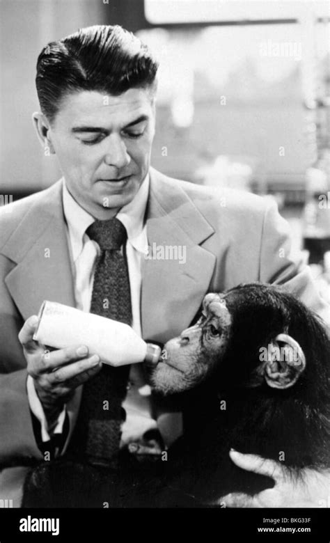 BEDTIME FOR BONZO (1951) RONALD REAGAN BFBZ 001 Stock Photo - Alamy