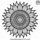 Complex Sunflower Mandala Coloring Pages  Free Kids sketch template