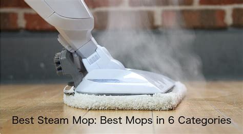 FrankySSPank Blogger: Best Steam Mop: Best Mops in 6 Categories (2018)