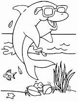 Dolphin With Glasses  Animals Adult Coloring Pages sketch template