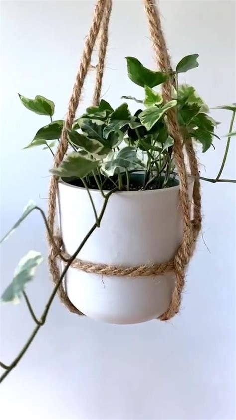 Hanging plants diy – Artofit