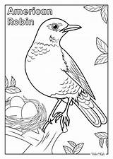American Robin Coloring Pages Free Printable PDFs  WakeTheKids sketch template