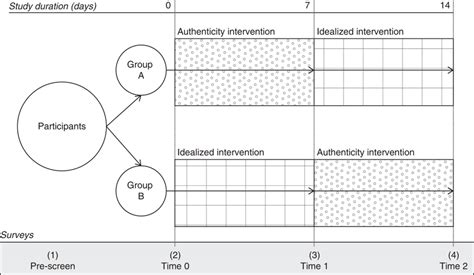 Study 2 experimental design Figure 2 presents the longitudinal ...