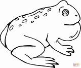 Toad Coloring Pages Online For Kids sketch template