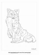 Marble Fox Coloring Pages  Free Animals Kidadl sketch template