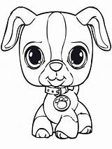 Printable My Littlest Pet Shop Coloring Pages sketch template