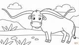 Longhorn coloring page  Free Printable Coloring Pages sketch template