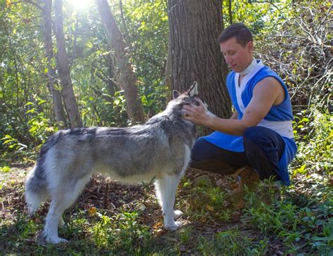 Sokka Cosplay | Etsy