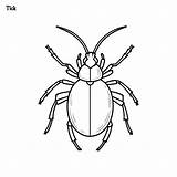 Tick Handdrawn coloring Page And Outline Vector Design  Premium AI sketch template