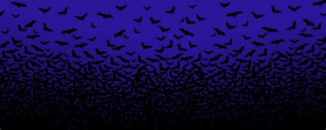 Bats Wallpaper - WallpaperSafari