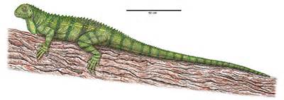 Triassic Reptiles - Petrified Forest National Park (U.S. National Park Service)