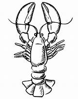 Realistic Lobster coloring Page  Download Print Or Color Online For Free sketch template