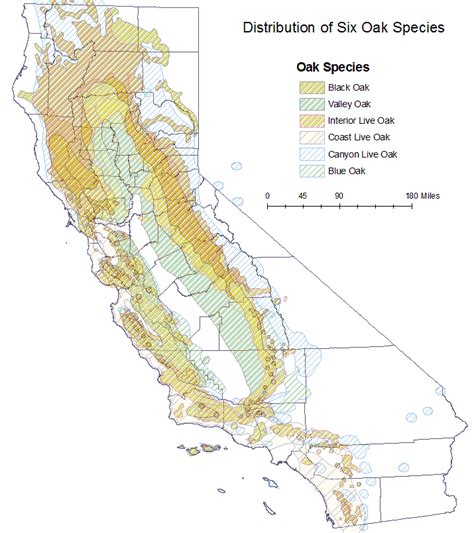 Oak California Map