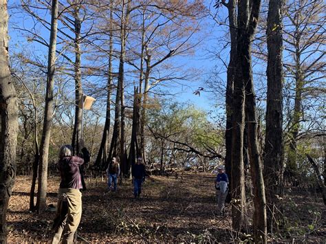 Prothonotary Warbler nest box project: 2022 update — Delta Wind Birds