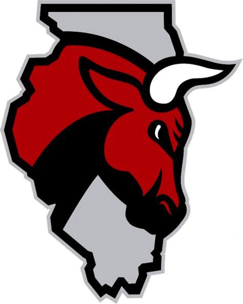 Windy City Bulls New D-League Team, Unveils Logo | Chris Creamer's SportsLogos.Net News : New ...