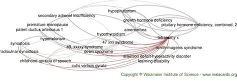 Tetrasomy X disease: Malacards - Research Articles, Drugs, Genes, Clinical Trials