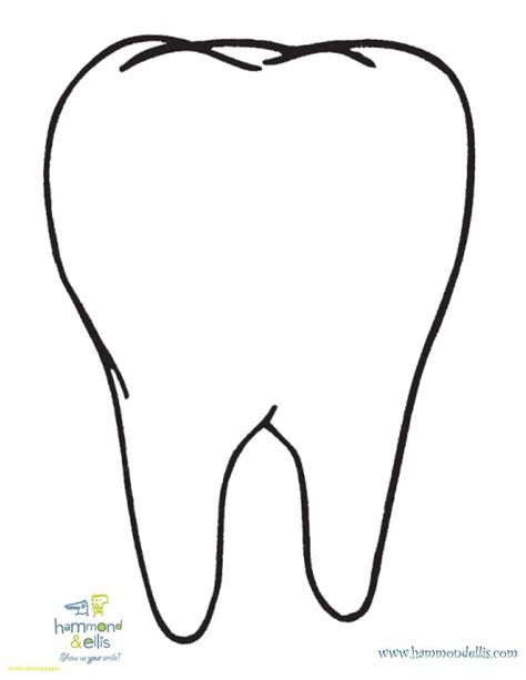 Tooth Coloring Pages Ready to Print | Teeth images, Teeth pictures, Anatomy coloring book