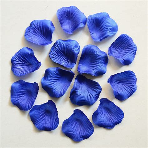 Free photo: Flower petals - Colors, Nature, Seeds - Free Download - Jooinn