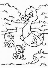 Five Little Ducks Coloring Page Coloring Pages sketch template