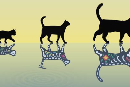World's heaviest "Schrödinger's cat" pushes quantum boundaries