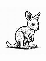 Wallaby coloring Pages sketch template