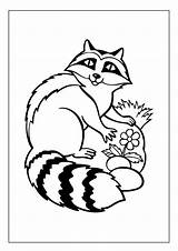 Printable Raccoon Coloring Pages For Kids & Adults 40 Instant  sketch template