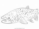 Alaska Trout Fishing Lodge Coloring Page For Kids  Free Trouts sketch template