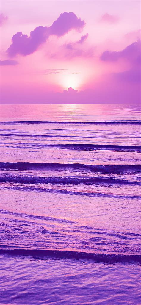 purple sunset 4k iPhone Wallpapers Free Download