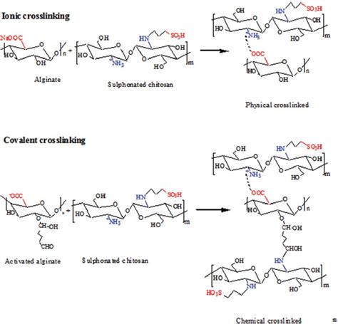 The possible physical and chemical interactions between the alginate ...