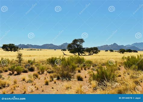 African savanna landscape stock photo. Image of mountains - 29144078