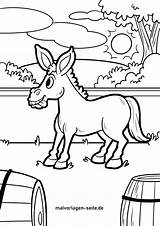 Colorat Esel Colorir Planse Cavalo Donkey Asino Ane Magarus Desene  sketch template