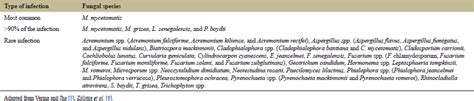 Role of medicinal plants in the treatment of eumycetoma: A review