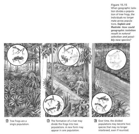 Descriptive essay topics for middle school - El mito de Gea